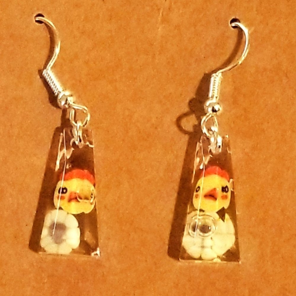 Earrings